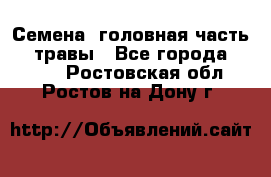 Семена (головная часть))) травы - Все города  »    . Ростовская обл.,Ростов-на-Дону г.